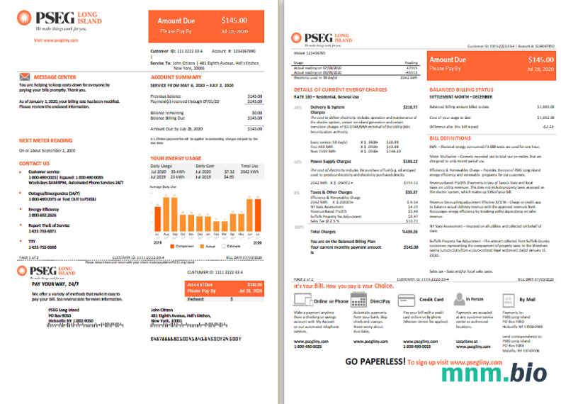 USA Long Island PSEG electricity
